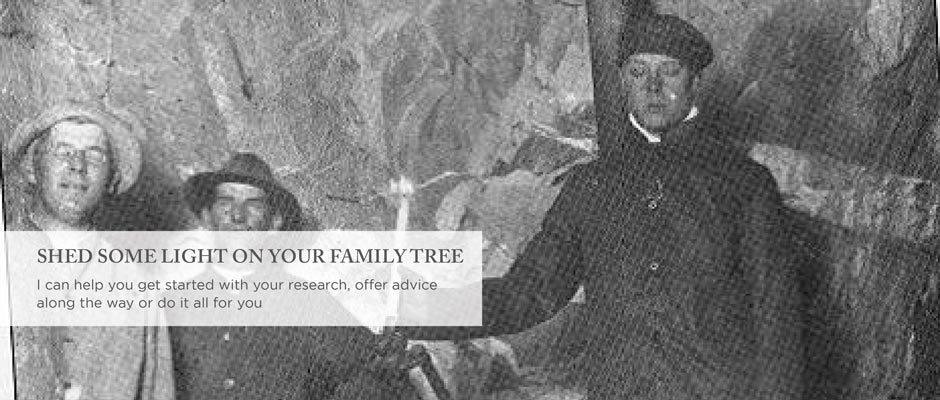 SHED SOME LIGHT ON YOUR FAMILY TREE